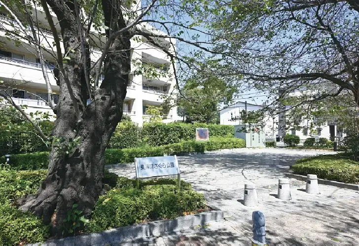 東林間さくら公園